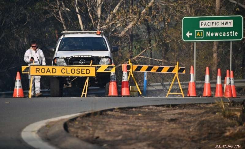 Sydney Faces Catastrophic Bushfire Threat: Emergency Declared