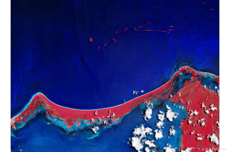 Stunning Sentinel‑2 View of Holbox Island, Quintana Roo, Mexico