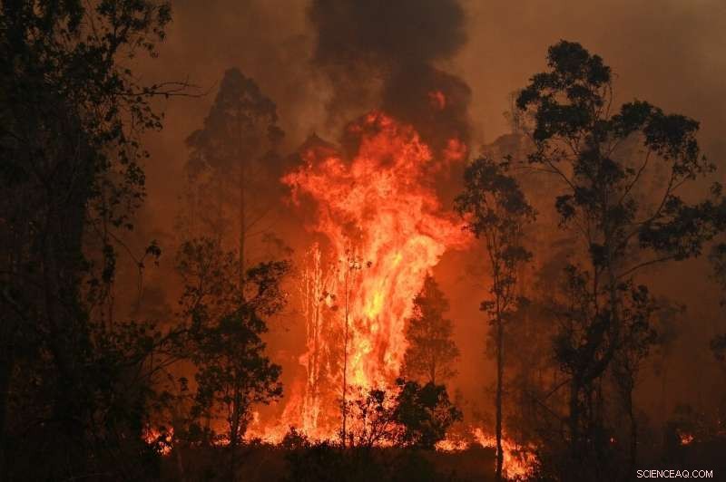 Australia Faces Potential New Bushfire Crisis: Authorities Warn of Worst Fires Yet