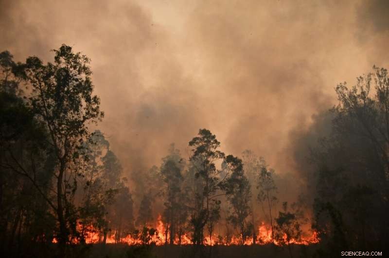 Australia Faces Potential New Bushfire Crisis: Authorities Warn of Worst Fires Yet