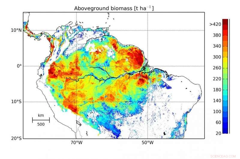 Amazon Rainforest: A Crucial Carbon Sink Protecting Global Climate