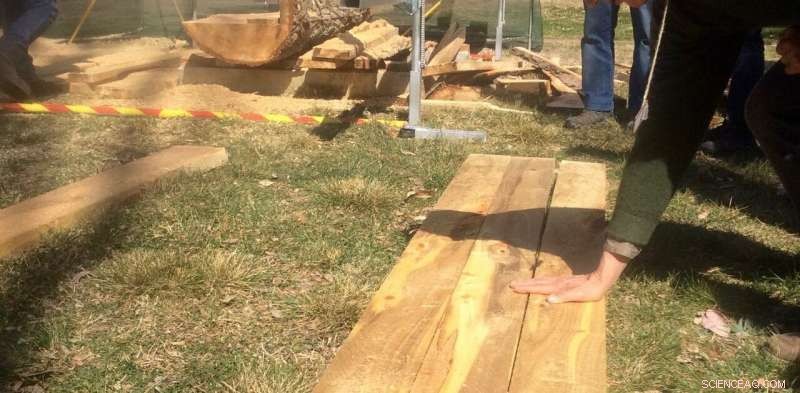 Preserve the Legacy: Turning Fallen Trees into Valuable Timber