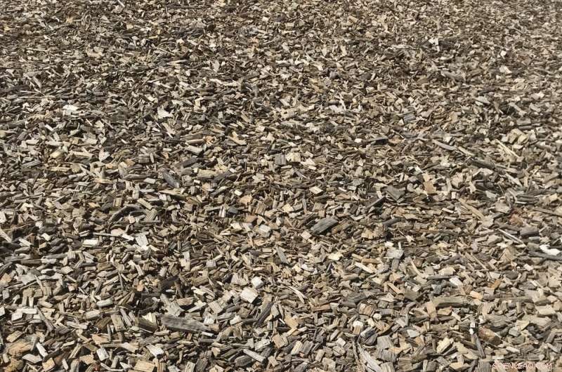 Preserve the Legacy: Turning Fallen Trees into Valuable Timber