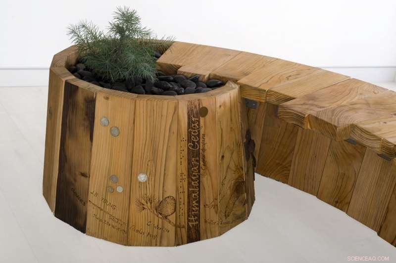 Preserve the Legacy: Turning Fallen Trees into Valuable Timber