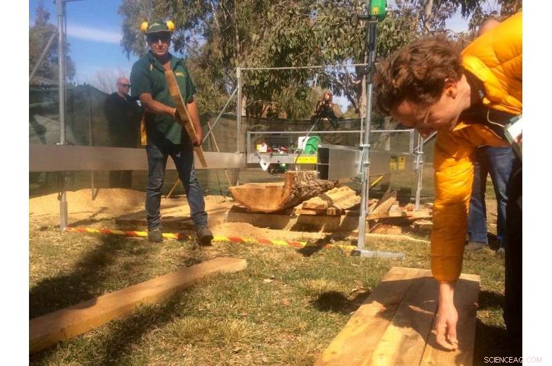 Preserve the Legacy: Turning Fallen Trees into Valuable Timber