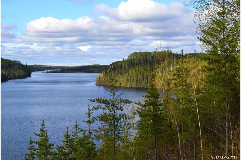 Scientists Uncover Nature’s Backup Pathway for Nitrogen Conversion into Plant Nutrients