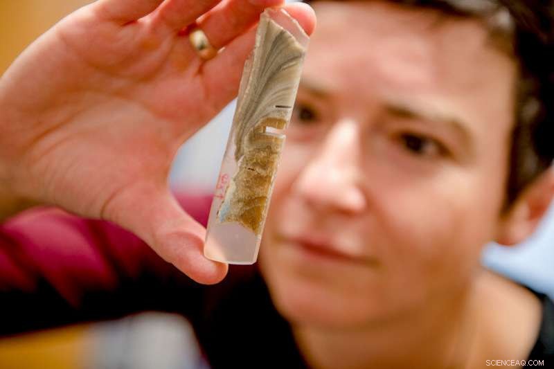 Geoscientists Decode Earth s Past Climate Using Dripstone Records