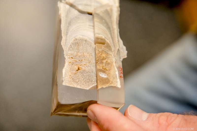 Geoscientists Decode Earth s Past Climate Using Dripstone Records