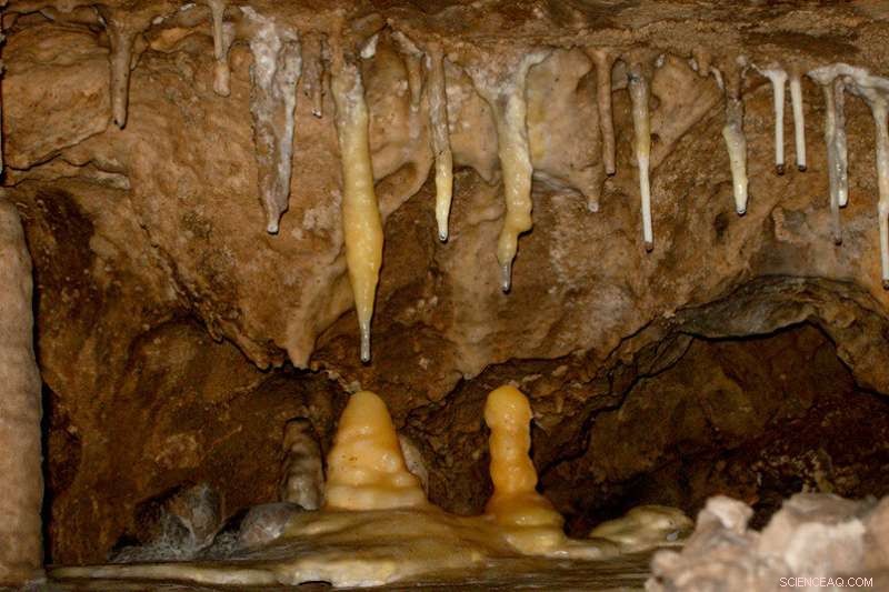 Geoscientists Decode Earth s Past Climate Using Dripstone Records