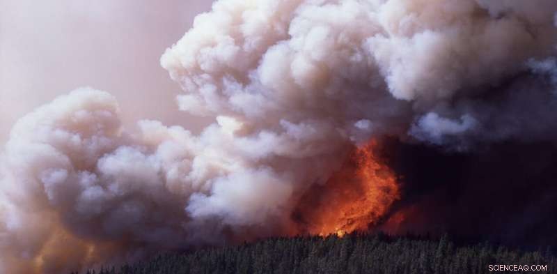 Bushfires Forge Their Own Violent Weather: Firestorms & Flaming Tornadoes Explained