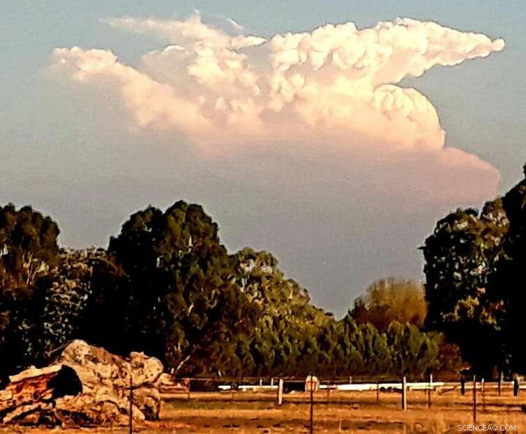 Bushfires Forge Their Own Violent Weather: Firestorms & Flaming Tornadoes Explained