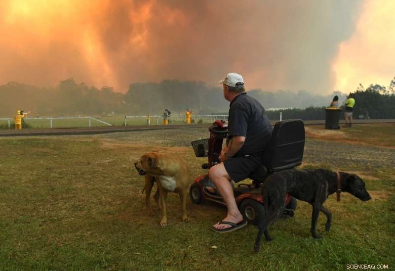 Intense Bushfires Sweep Through Sydney Suburbs: Emergency Response Intensifies