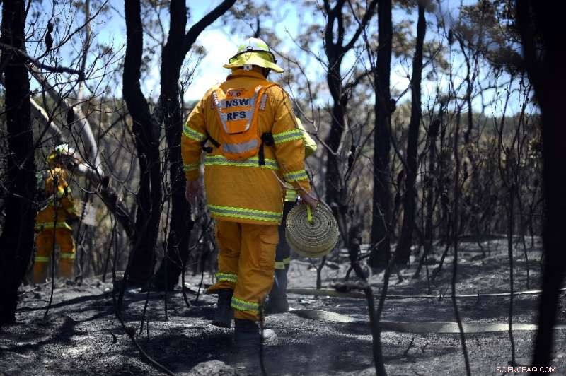 Intense Bushfires Sweep Through Sydney Suburbs: Emergency Response Intensifies