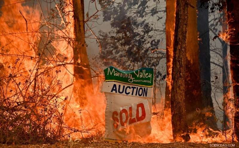 Intense Bushfires Sweep Through Sydney Suburbs: Emergency Response Intensifies