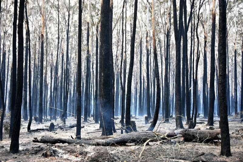 Australian Bushfire Trapped Residents Warned Late, Evacuation Delayed