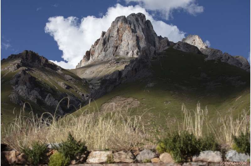 China Plans Yellowstone‑Style Conservation on the Tibetan Plateau