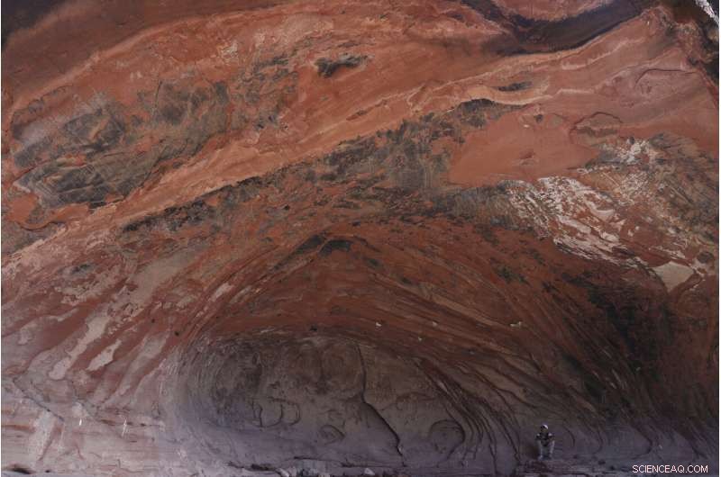 China Plans Yellowstone‑Style Conservation on the Tibetan Plateau