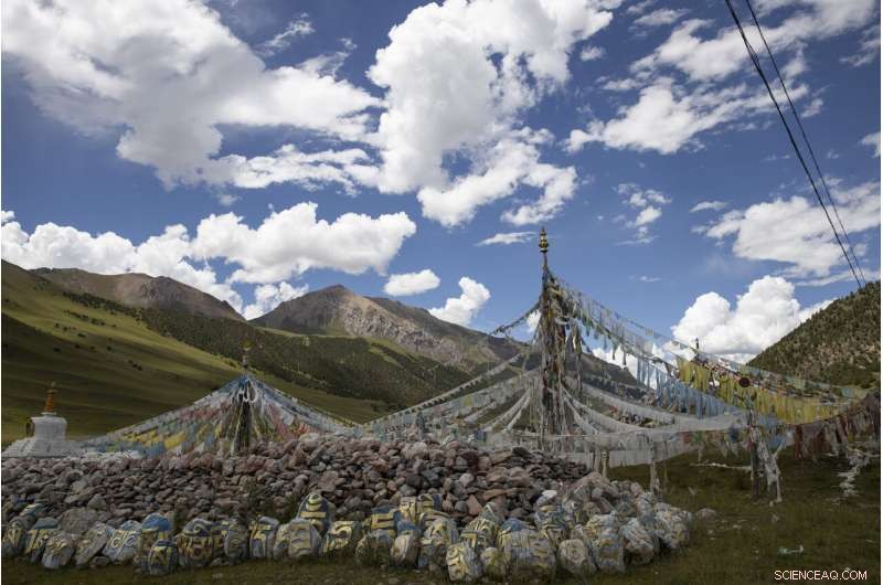 China Plans Yellowstone‑Style Conservation on the Tibetan Plateau