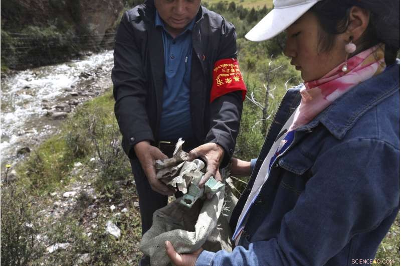 China Plans Yellowstone‑Style Conservation on the Tibetan Plateau