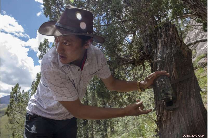 China Plans Yellowstone‑Style Conservation on the Tibetan Plateau