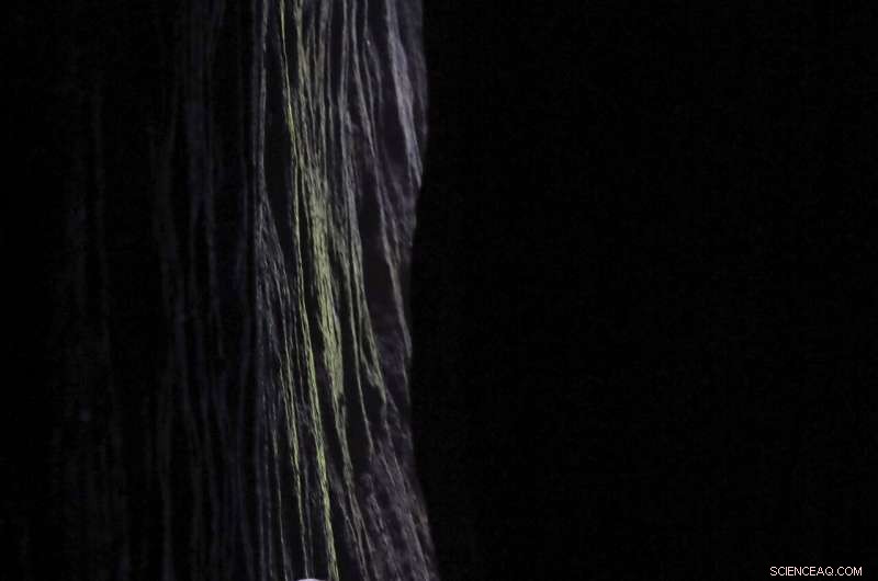 China Plans Yellowstone‑Style Conservation on the Tibetan Plateau