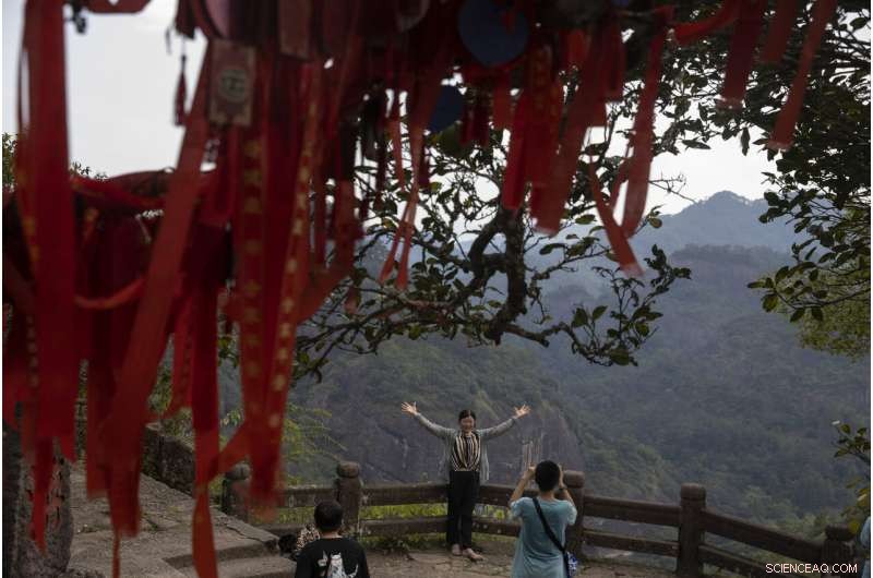 China Plans Yellowstone‑Style Conservation on the Tibetan Plateau