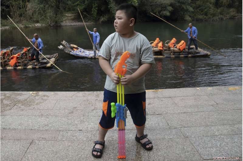 China Plans Yellowstone‑Style Conservation on the Tibetan Plateau