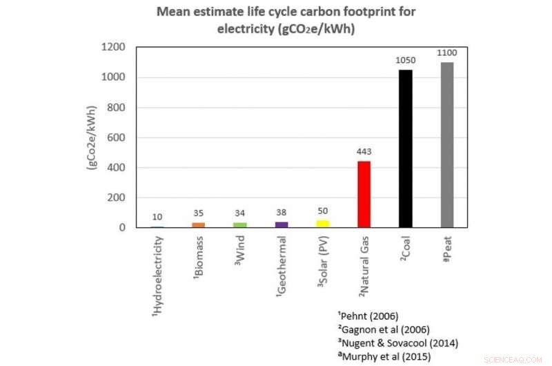 Should Ireland Power Plants Import Australian Wood Fuel? Examining Environmental and Economic Impacts