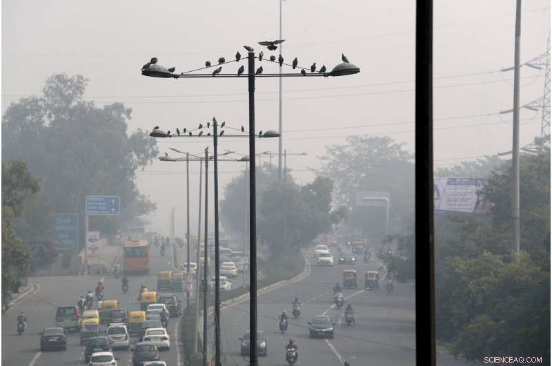 New Delhi Faces Severe Air Quality Crisis Amid Dense Haze