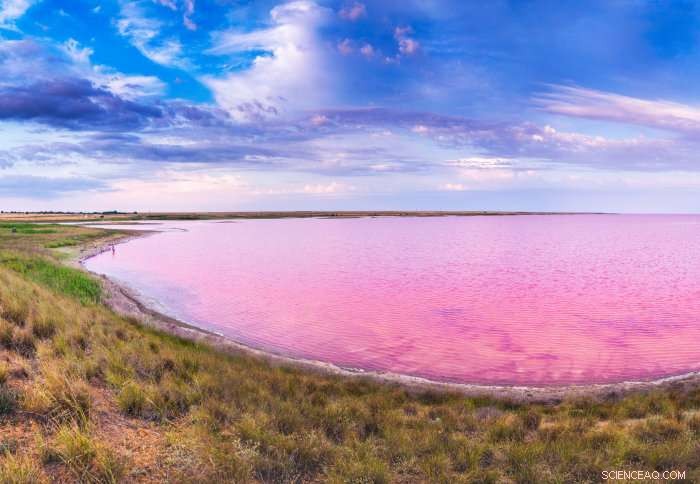 Bacteria’s Rising Role in Climate Change Amid Global Warming