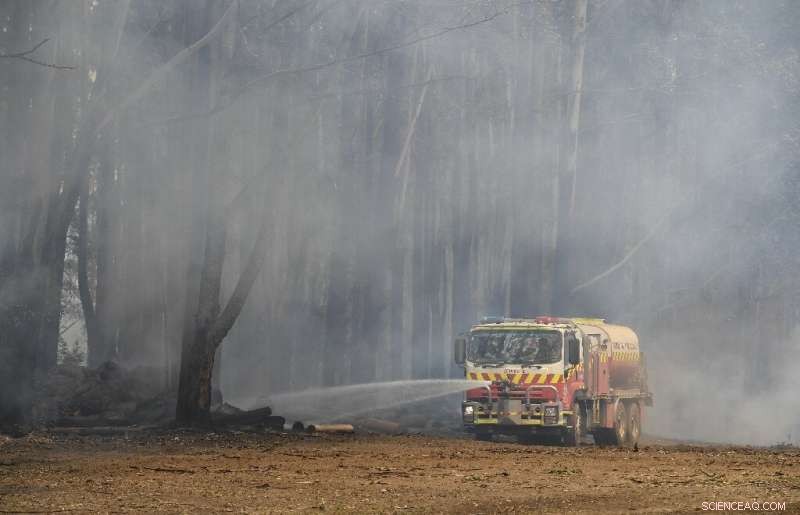 Australia Faces Ongoing Bushfire Threat Amid Nationwide Cleanup Efforts