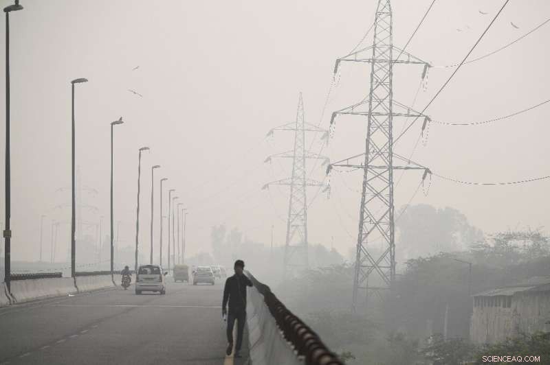 Delhi Faces Backlash as Toxic Smog Endangers Children s Race and Disrupts Golf Event