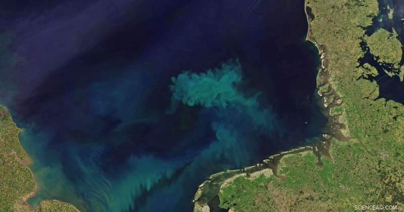 Exploring the Old and New: Darwin’s Discoveries in the Ocean’s Depths