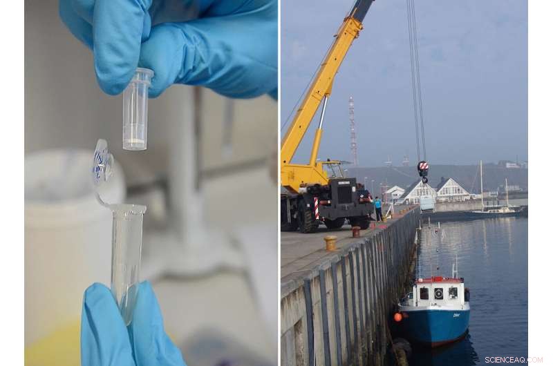 Exploring the Old and New: Darwin’s Discoveries in the Ocean’s Depths