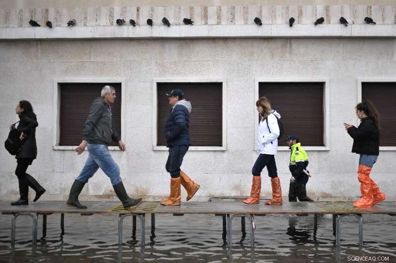 Italy Declares State of Emergency in Venice Following Severe Flood