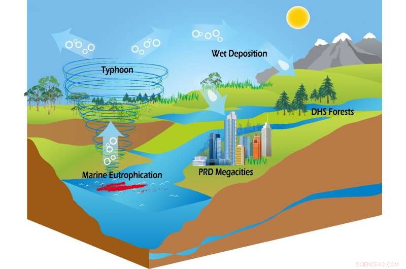 Unveiling the Hidden Source of Organic Nitrogen: Typhoons and Marine Eutrophication in Ecosystems