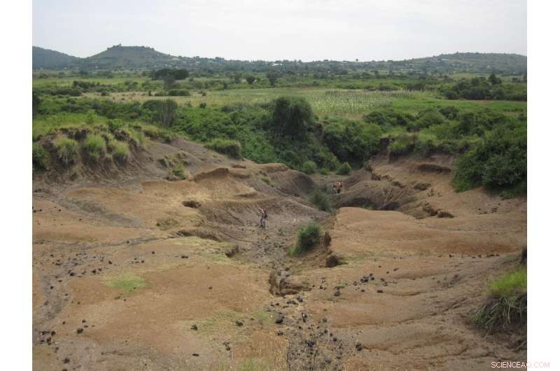 Climate Change Threatens Lake Victoria: Understanding the Risks and Impacts