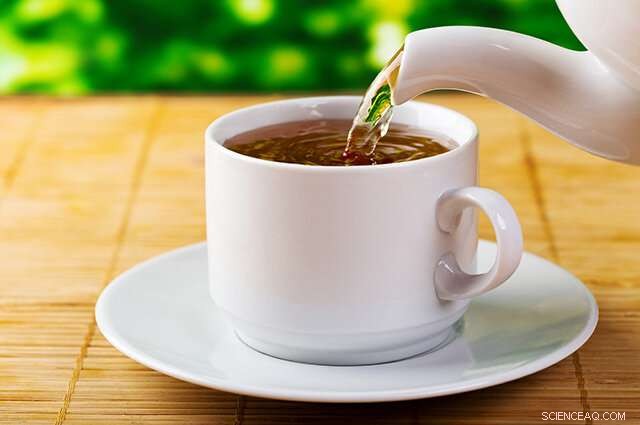 Are Tea Drinkers Willing to Pay Extra for Climate‑Friendly Cups?