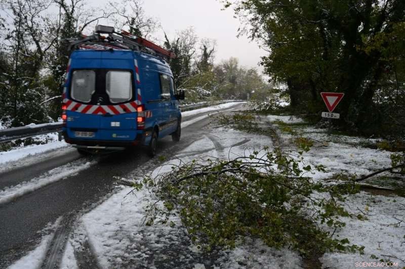Heavy Snow in France: One Fatality, 300,000 Homes Lose Power