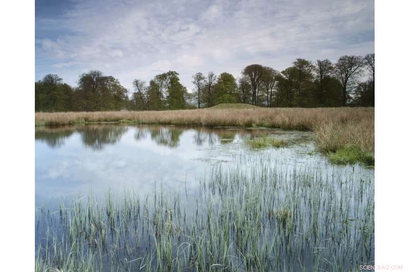 Aquatic Plants Rely on Terrestrial Landscape to Optimize Photosynthesis, Study Reveals