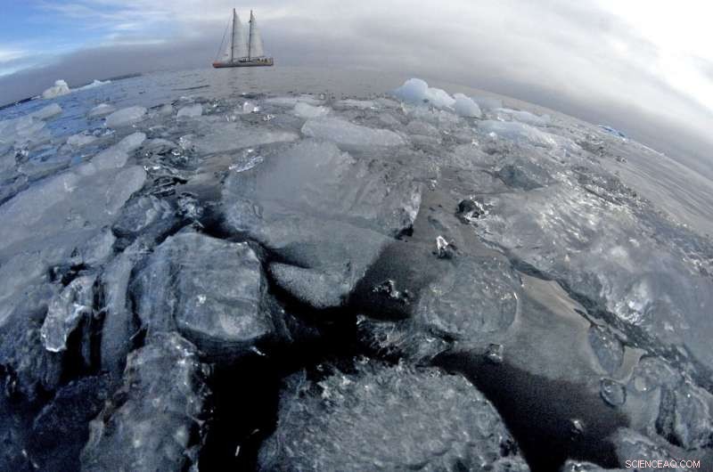 Global Ocean Studies Map Microscopic Diversity and Activity