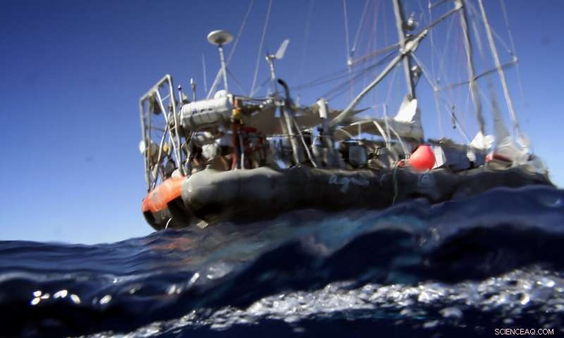 Global Ocean Studies Map Microscopic Diversity and Activity