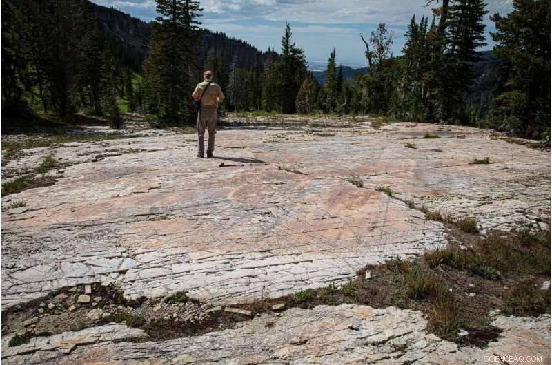 Crystal Coatings Reveal Secrets Behind Fracture Patterns