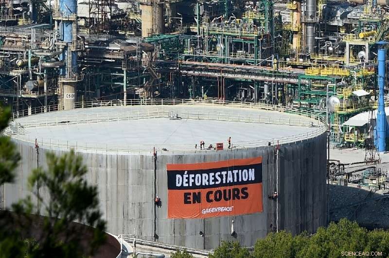 France Withdraws Palm Oil Tax Break After Public Outcry