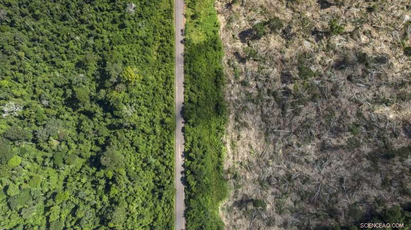 2019 Amazon Fires Spike Linked to Record Deforestation, Experts Warn