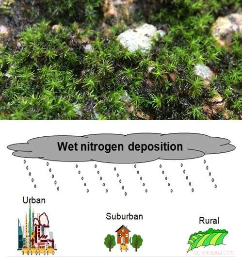 Moss as a Reliable Bio-Indicator for Tracking Atmospheric Nitrogen Deposition in the Yangtze River Delta