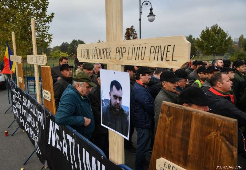 Romania s Forests Under Growing Threats—Rangers Battle for Preservation