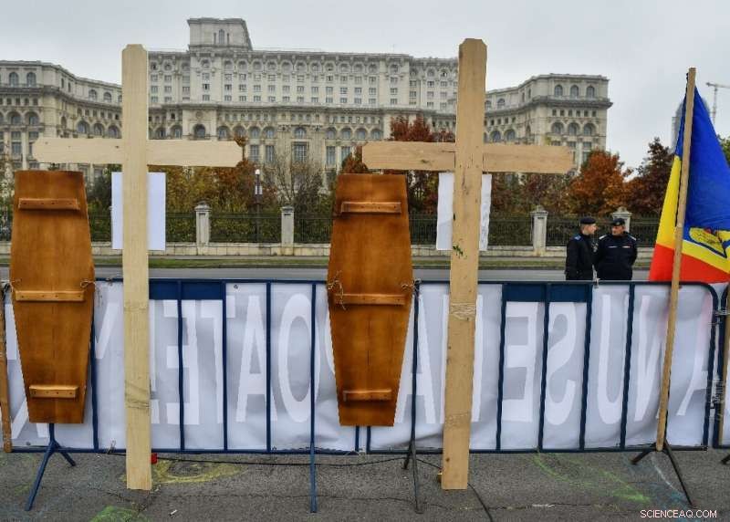 Romania s Forests Under Growing Threats—Rangers Battle for Preservation