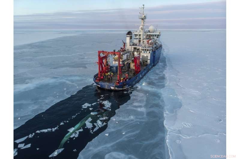 Warm Ocean Water Delays Sea Ice, Protecting Alaska’s Coastal Towns and Wildlife