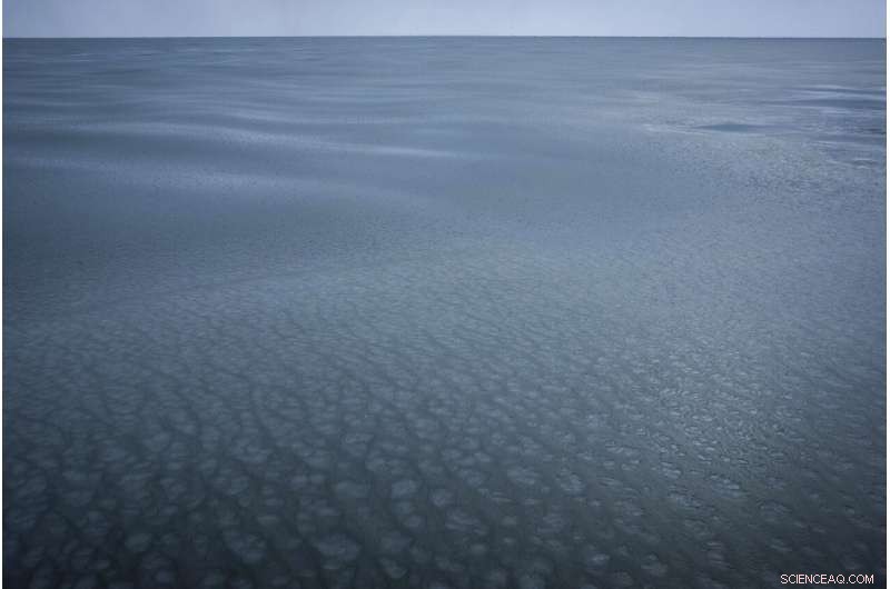 Warm Ocean Water Delays Sea Ice, Protecting Alaska’s Coastal Towns and Wildlife